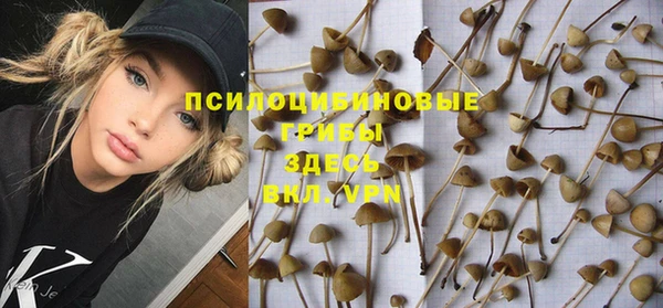стаф Медвежьегорск